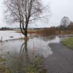 Kirkkojärven pinta nousee parhaillaan Akustinpuiston kävelyreiteille.
