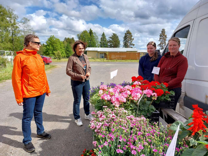 Sanna Kuisma ja Lounais-Someron Kyläyhdistyksen puheenjohtaja Anne Kerminen ihailevat kesäkukkia. Myymässä Puutarha Koivusen Enni ja Heli Koivunen.